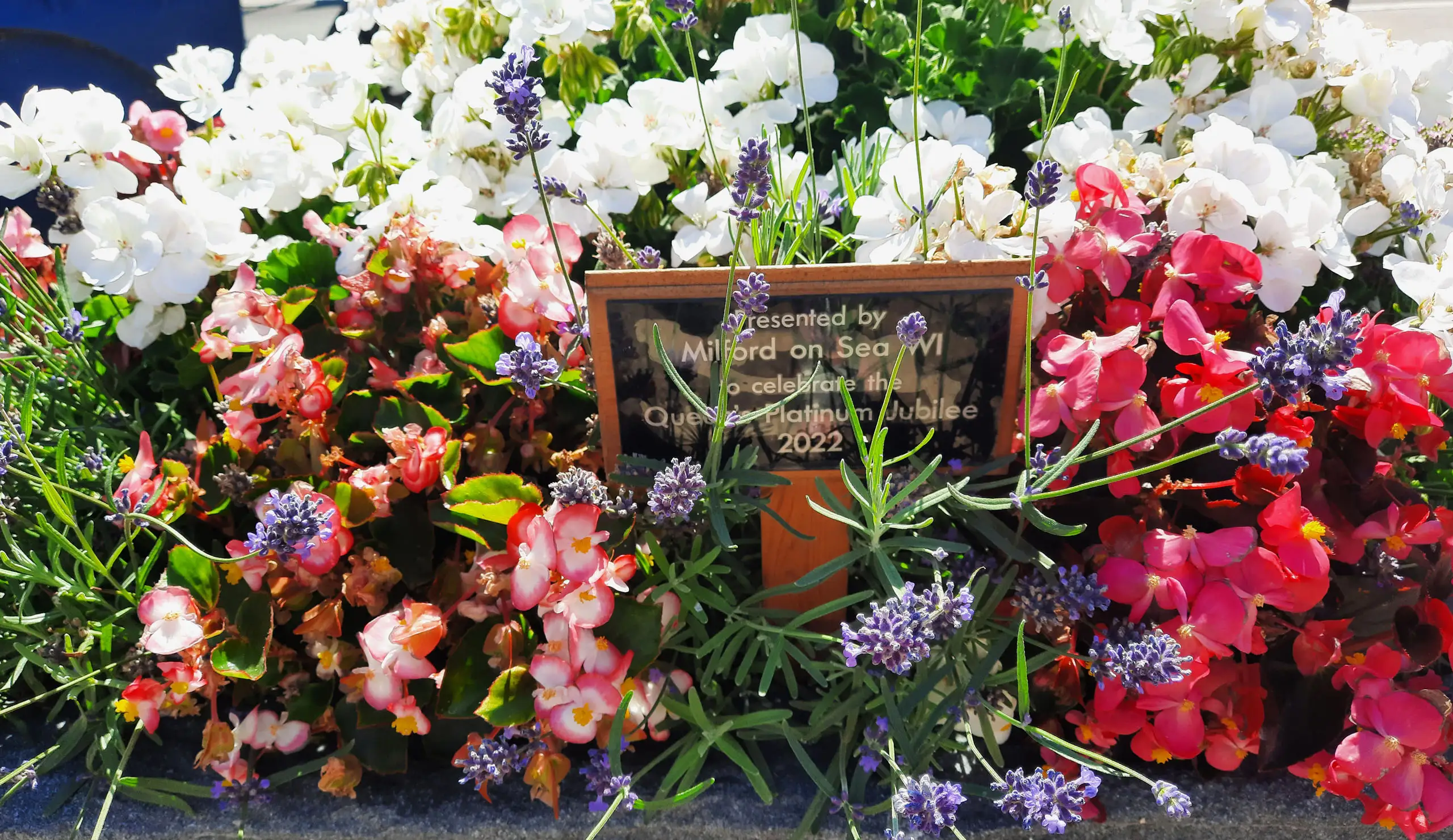 Sponsor the Milford-on-Sea flower displays