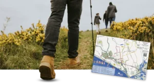 Nice walks around Milford-on-sea map download